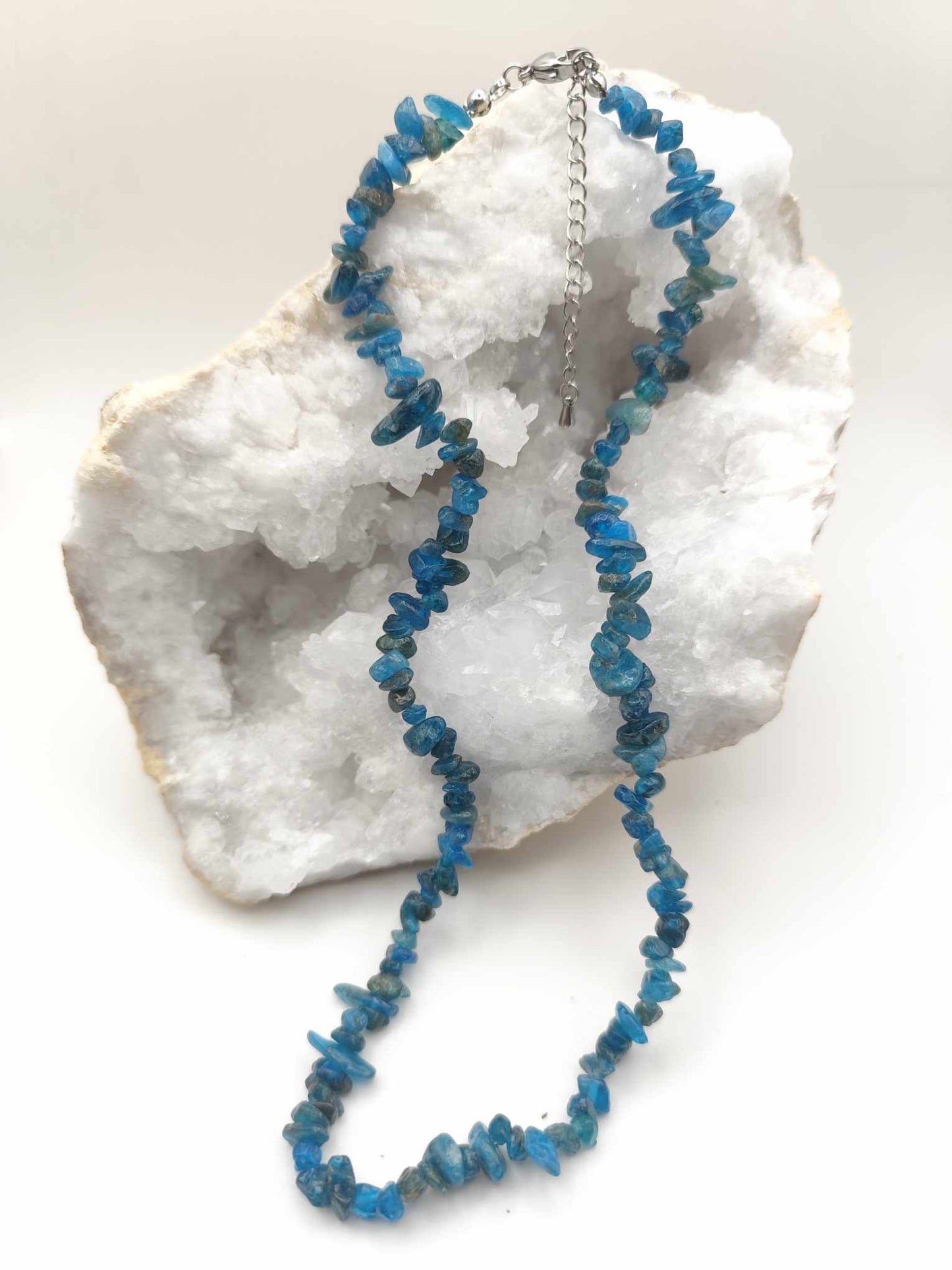 Collar de Apatito Chip