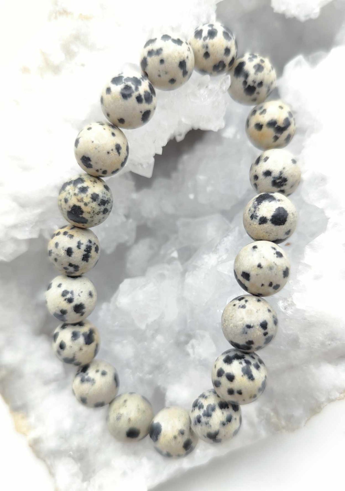 Dalmatian Jasper Bracelet