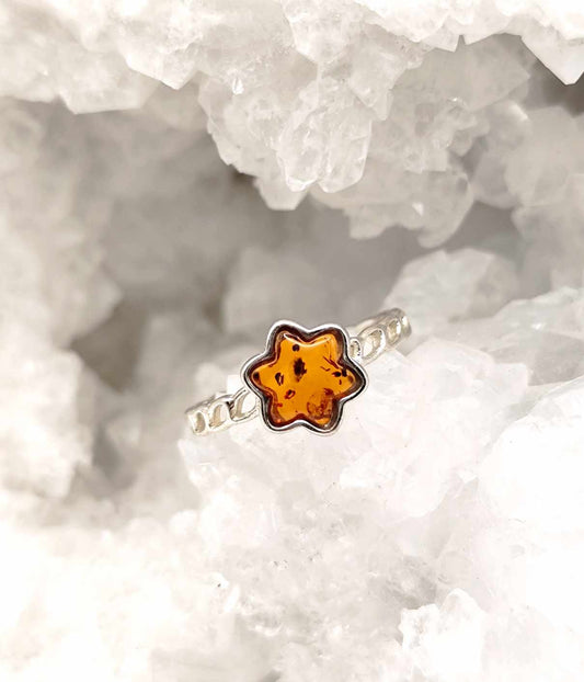 Anillo de Ambar de plata