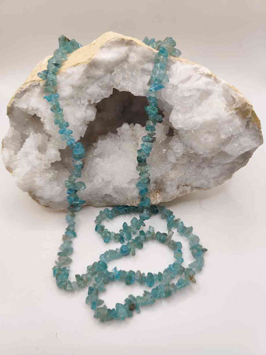 Collar de Apatito chip