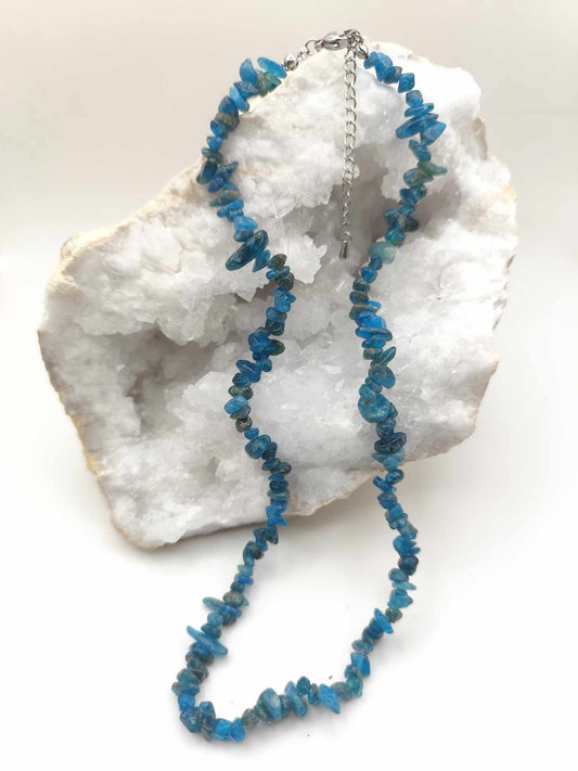 Collar de Apatito Chip